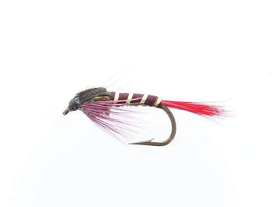 NYMPH MONTREAL
