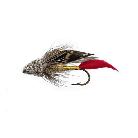 GOLD RED TAIL Muddler Snelled Fly