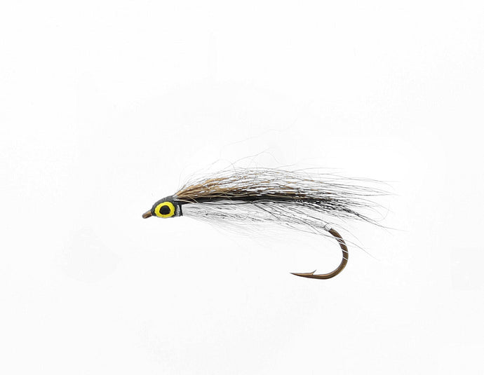 BLACK NOSE DACE Streamer