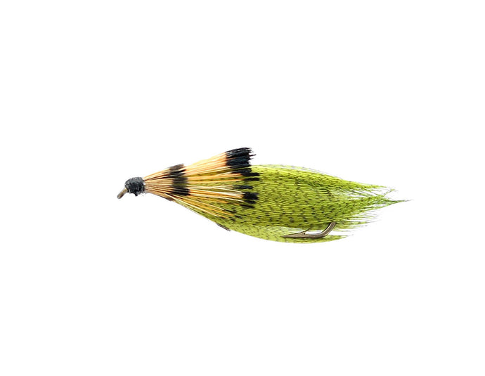 FISET Streamer