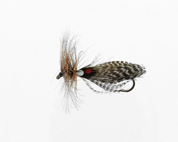HORNBERG Streamer