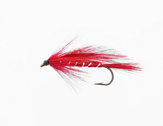 RED IBIS Streamer