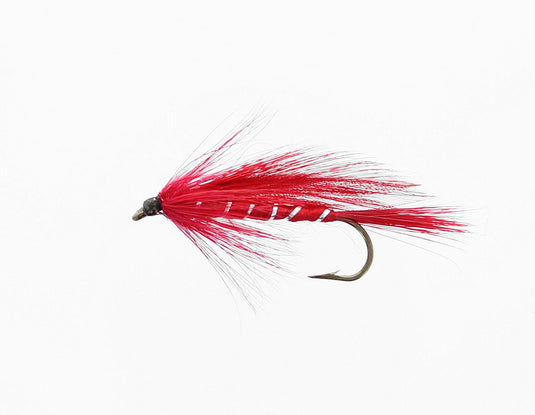 RED IBIS Streamer
