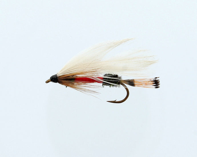 ROYAL COACHMAN Streamer