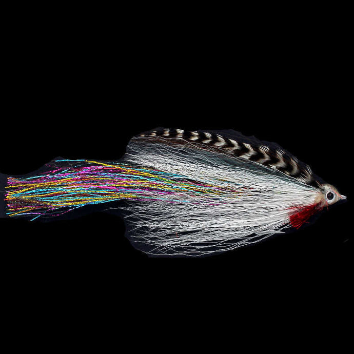 DECEIVER BROWN MINNOW
