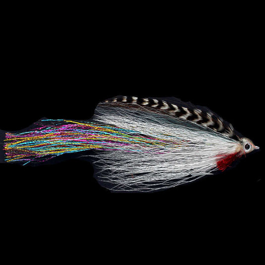 DECEIVER BROWN MINNOW